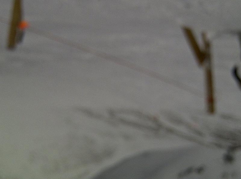 Madison Valley-20110320-00118.jpg