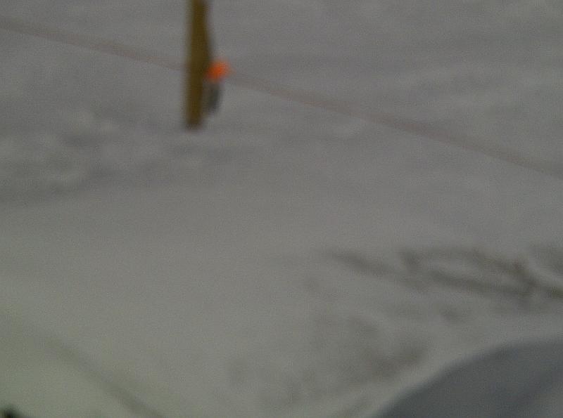 West Yellowstone-20110320-00117.jpg